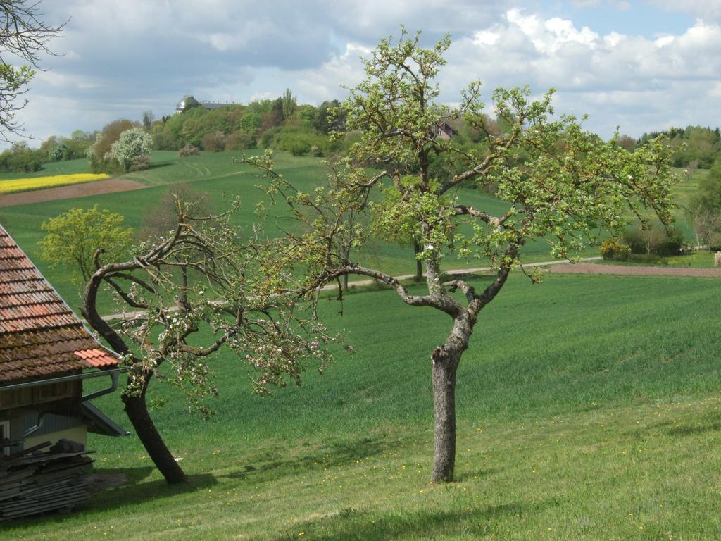 Ferienwohnung Bockelt Stadtlauringen Buitenkant foto