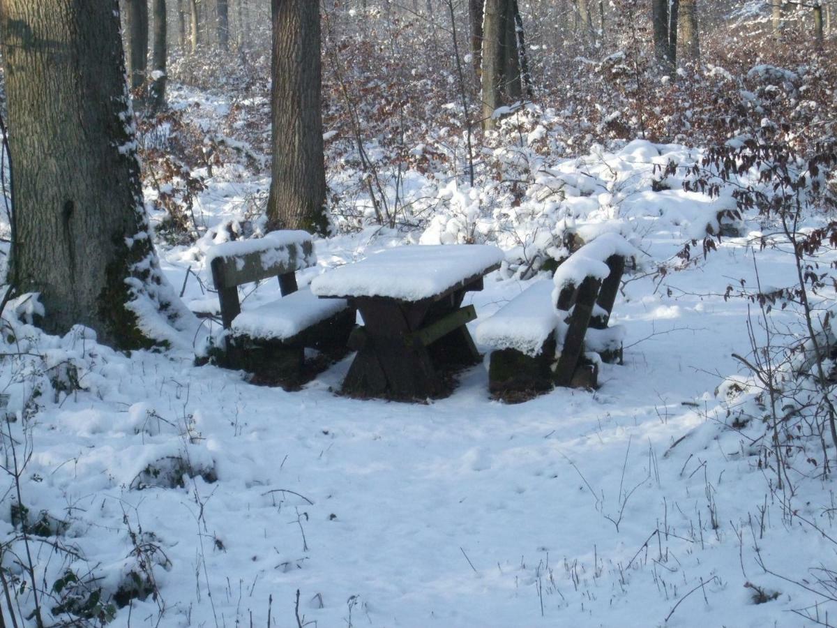 Ferienwohnung Bockelt Stadtlauringen Buitenkant foto